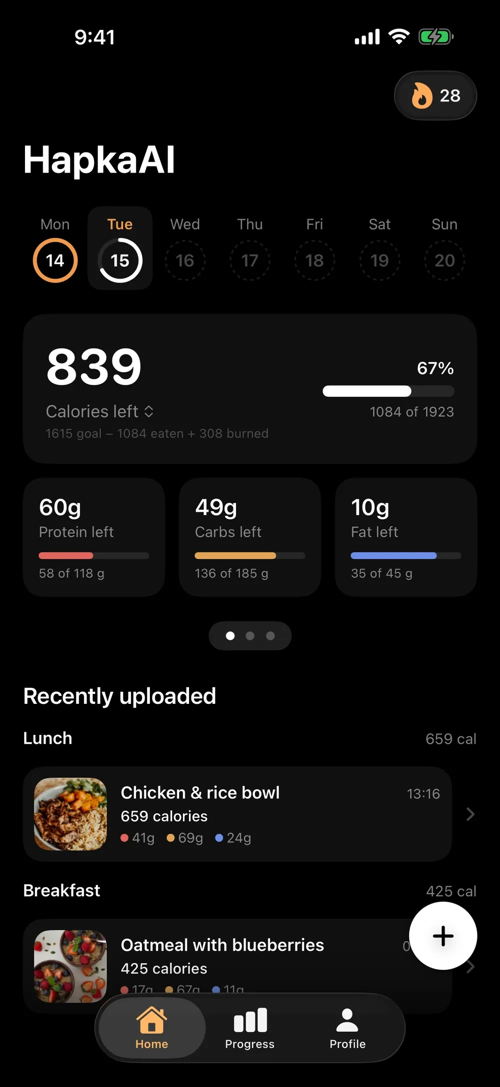 Calories and macros for the day